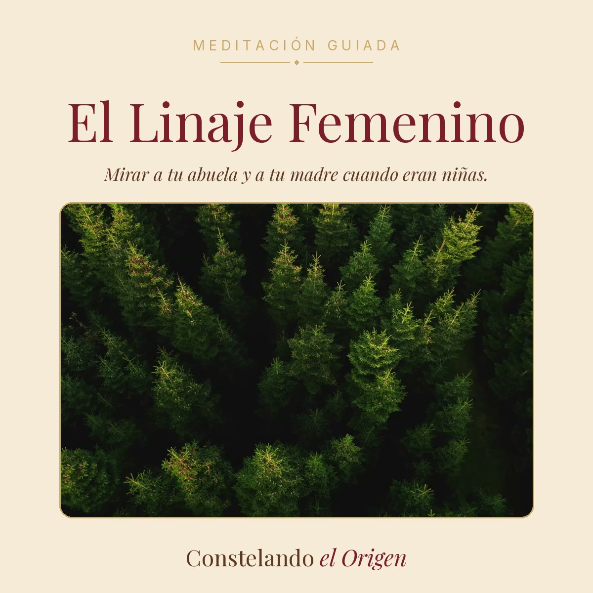 El linaje femenino