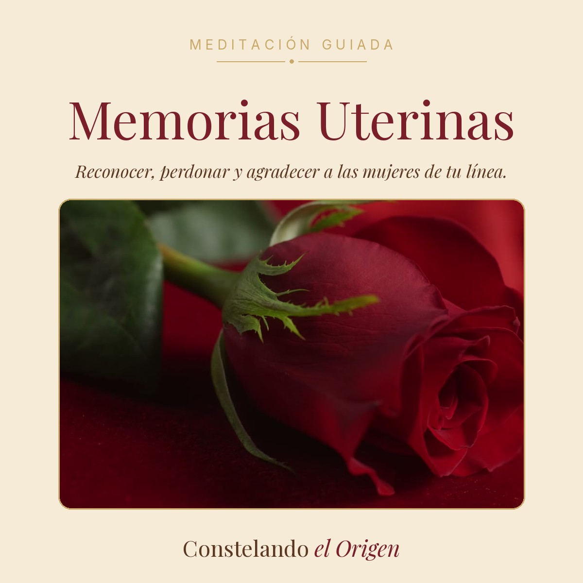 Oración de las memorias uterinas