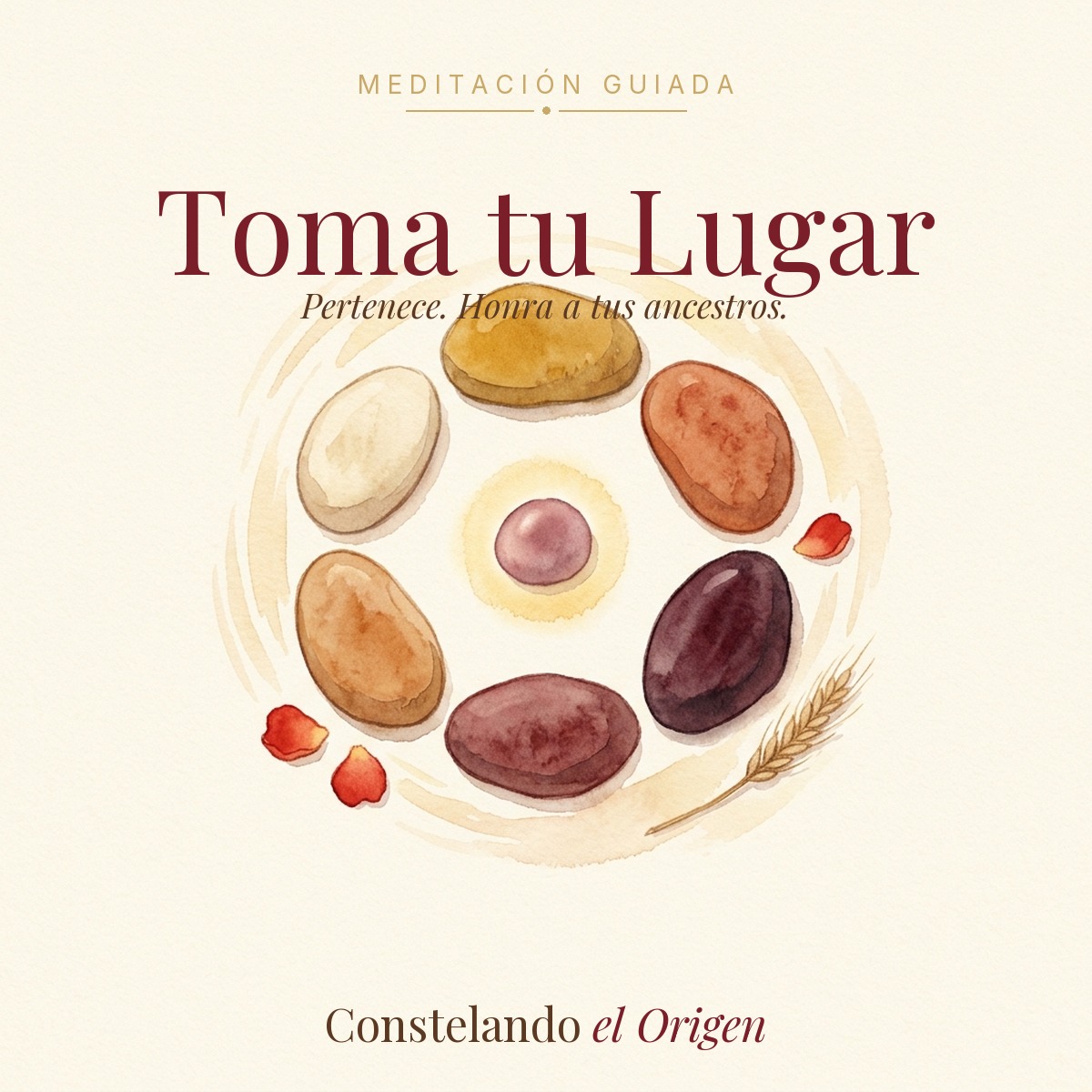 Meditación de la Pertenencia